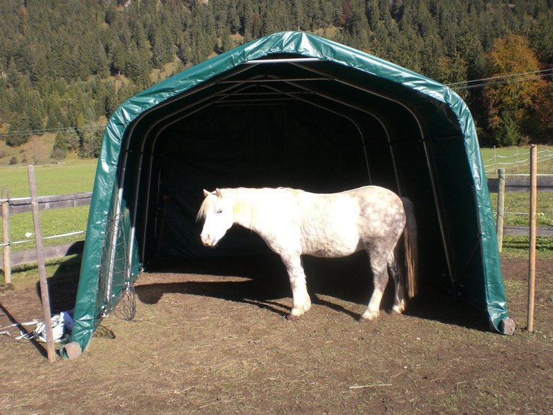 Weidezelt Offenstall Weidehütte Pferde Unterstand 3,3 x 6,2 Lagerzelt Zeltgarage 